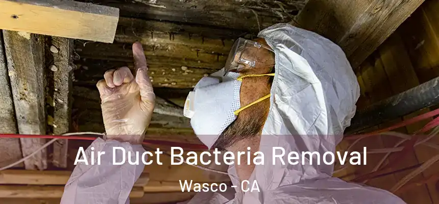  Air Duct Bacteria Removal Wasco - CA