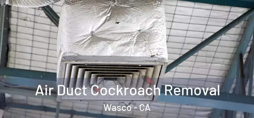 Air Duct Cockroach Removal Wasco - CA