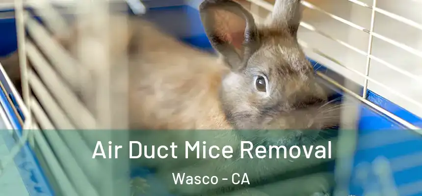  Air Duct Mice Removal Wasco - CA