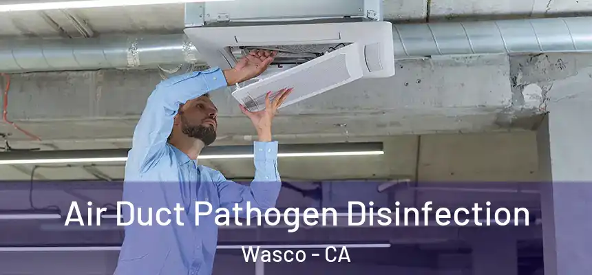 Air Duct Pathogen Disinfection Wasco - CA