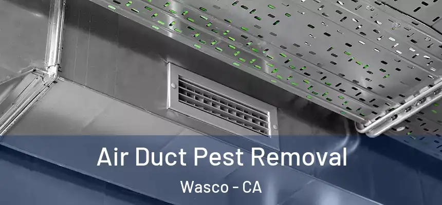  Air Duct Pest Removal Wasco - CA