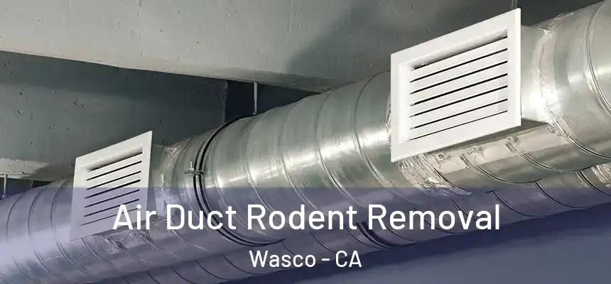  Air Duct Rodent Removal Wasco - CA