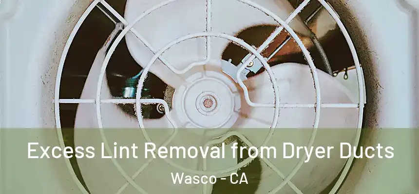  Excess Lint Removal from Dryer Ducts Wasco - CA