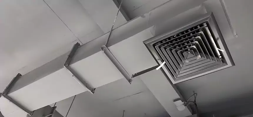 Our Pest Removal From Ducts Services in Wasco, CA