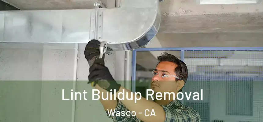  Lint Buildup Removal Wasco - CA