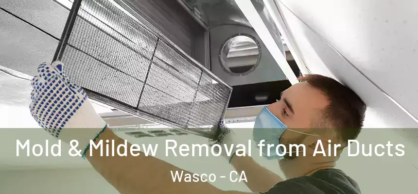 Mold & Mildew Removal from Air Ducts Wasco - CA
