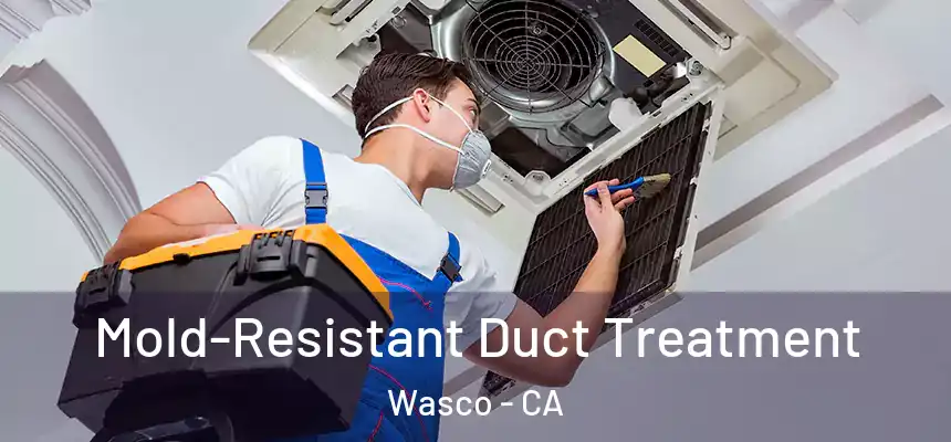 Mold-Resistant Duct Treatment Wasco - CA