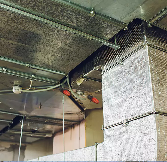 Why Homeowners & Businesses Trust Us in Wasco, CA?