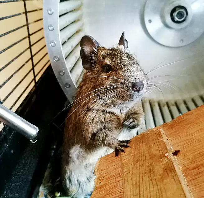 Why Homeowners & Businesses Trust Us Wasco, CA?