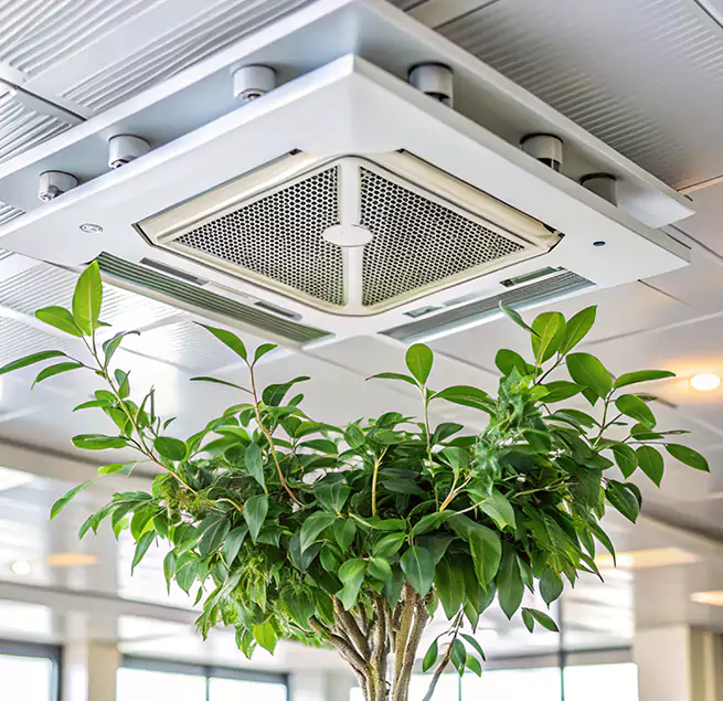 Why Homeowners & Businesses Trust Us in Wasco, CA